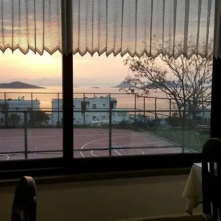 酒店 Victoria & 4*